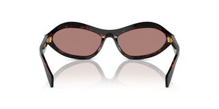 Prada Pr A20s Women Havana Cat Eye Sunglasses