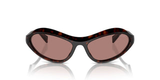 Prada Pr A20s Women Havana Cat Eye Sunglasses