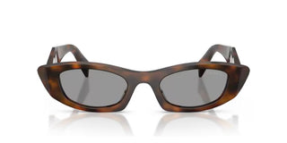 Prada Pr B16s Women Havana Cat Eye Sunglasses