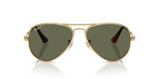 Ray-ban Rb 3925 Unisex Gold Pilot Sunglasses