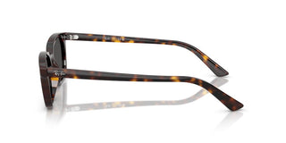 Ray-ban Rb 4456 Unisex Havana  Sunglasses