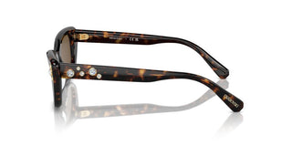 Swarovski Sk6019 Women Havana Cat Eye Sunglasses