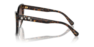 Swarovski Sk6020 Women Havana Cat Eye Sunglasses