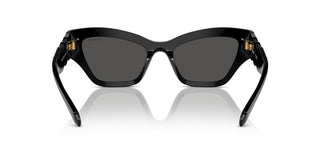 Swarovski Sk6021 Women Black Cat Eye Sunglasses