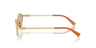 Miu Miu Smu 56zs Women Gold Other Sunglasses