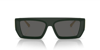 Tiffany & Co. TF 4214U women Green Geometric Sunglasses