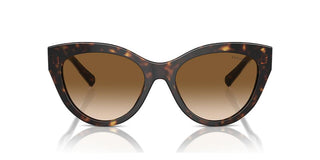 Tiffany & Co. TF 4220 women Havana Cat Eye Sunglasses