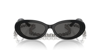 Tiffany & Co. Tf 4221 Women Black Oval Sunglasses