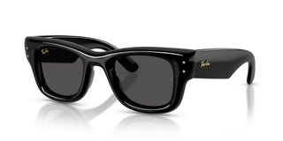 Ray-ban Wayfarer Puffer By A$ap Rocky Rb 4940 Unisex Black Squared Sunglasses