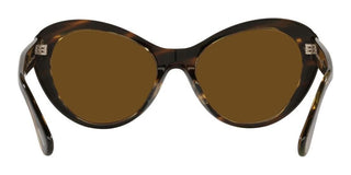 Oliver Peoples ZARENE OV 5420SU women Havana Cat Eye Sunglasses
