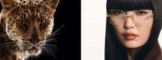 Cartier Eyeglasses