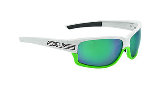 SALICE 017