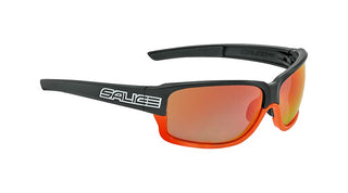 SALICE 017