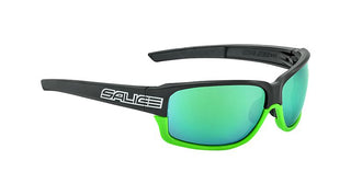 SALICE 017