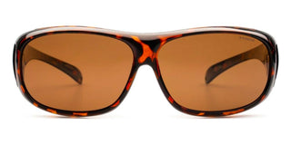 Polaroid 08535 unisex Havana Rectangle Sunglasses