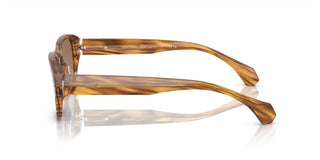 Alain Mikli 0a05506 Men Havana Squared Sunglasses
