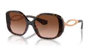Alain Mikli 0A05508 women Brown Oversize Sunglasses
