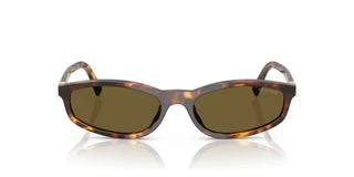 Miu Miu 0MU A06S women Havana Oval Sunglasses