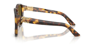 Miu Miu 0mu A08s Women Havana Pilot Sunglasses