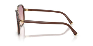 Miu Miu 0MU B01S women Brown Oversize Sunglasses