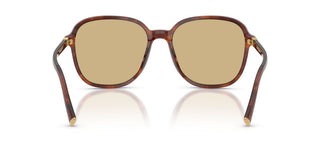 Miu Miu 0mu B01s Women Havana Oversize Sunglasses