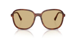 Miu Miu 0MU B01S women Havana Oversize Sunglasses