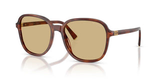 Miu Miu 0mu B01s Women Havana Oversize Sunglasses