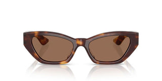 Oliver Peoples 1961c OV 5582SU women Havana Cat Eye Sunglasses