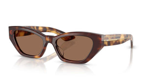 Oliver Peoples 1961c OV 5582SU women Havana Cat Eye Sunglasses