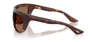 Oliver Peoples 1974C OV 5625SU women Havana Oversize Sunglasses