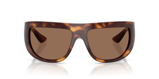 Oliver Peoples 1974C OV 5625SU women Havana Oversize Sunglasses