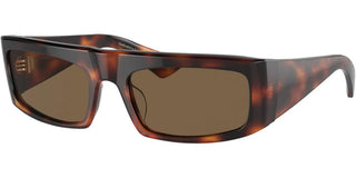 Oliver Peoples 1979C OV 5549SU women Havana Rectangle Sunglasses