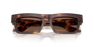 Oliver Peoples 1985c Ov 5607su Women Havana Rectangle Sunglasses