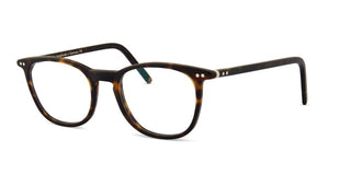 Lunor A5 234 unisex Havana Pantos Eyeglasses