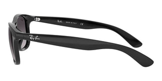 Ray-Ban ANDY RB 4202 unisex Black Squared Sunglasses