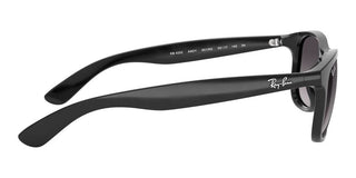 Ray-Ban ANDY RB 4202 unisex Black Squared Sunglasses