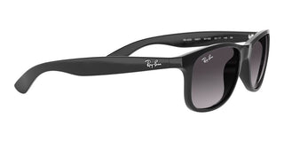 Ray-Ban ANDY RB 4202 unisex Black Squared Sunglasses