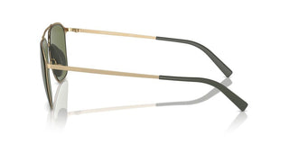 Giorgio Armani Ar 6110 Men Gold Pilot Sunglasses