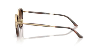Giorgio Armani Ar 6176 Men Gold Round Sunglasses