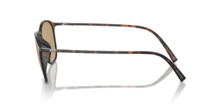 Giorgio Armani Ar 8186u Men Havana Geometric Sunglasses