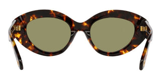 Giorgio Armani AR 8188 women Havana Cat Eye Sunglasses