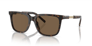 Giorgio Armani AR 8202U men Havana Squared Sunglasses