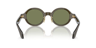 Giorgio Armani AR 8205 men Brown Oval Sunglasses