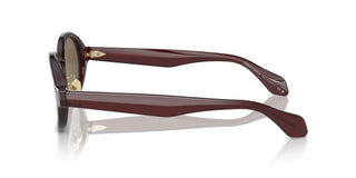 Giorgio Armani Ar 8205 Men Brown Oval Sunglasses