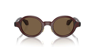Giorgio Armani Ar 8205 Men Brown Oval Sunglasses
