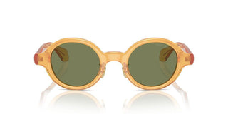 Giorgio Armani Ar 8205 Men Yellow Oval Sunglasses