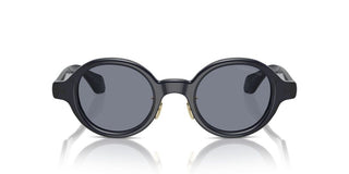 Giorgio Armani Ar 8205 Men Blue Oval Sunglasses