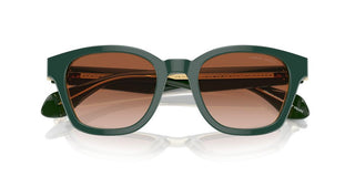 Giorgio Armani Ar 8207 Men Green Pantos Sunglasses
