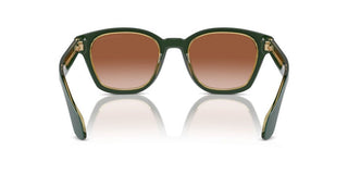 Giorgio Armani Ar 8207 Men Green Pantos Sunglasses