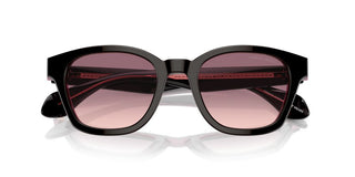 Giorgio Armani Ar 8207 Men Brown Pantos Sunglasses
